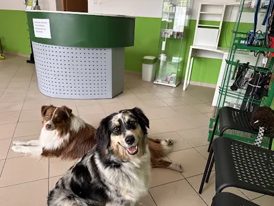 Zawierciańska Przychodnia Weterynaryjna SERDUSZKO